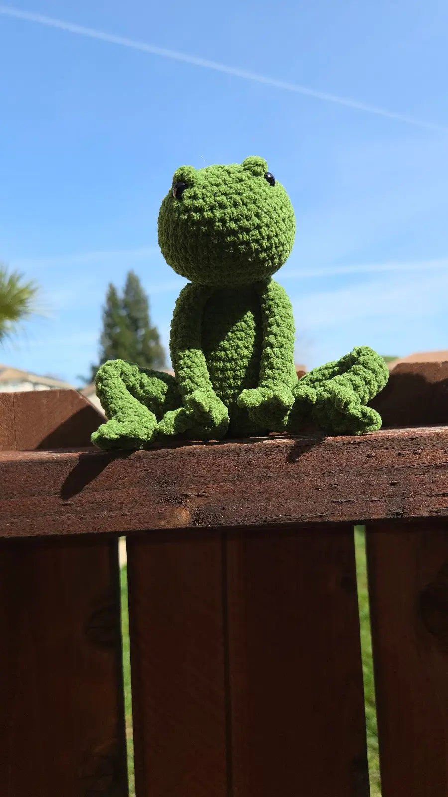 Frogrick the Grumpy Frog Plushie