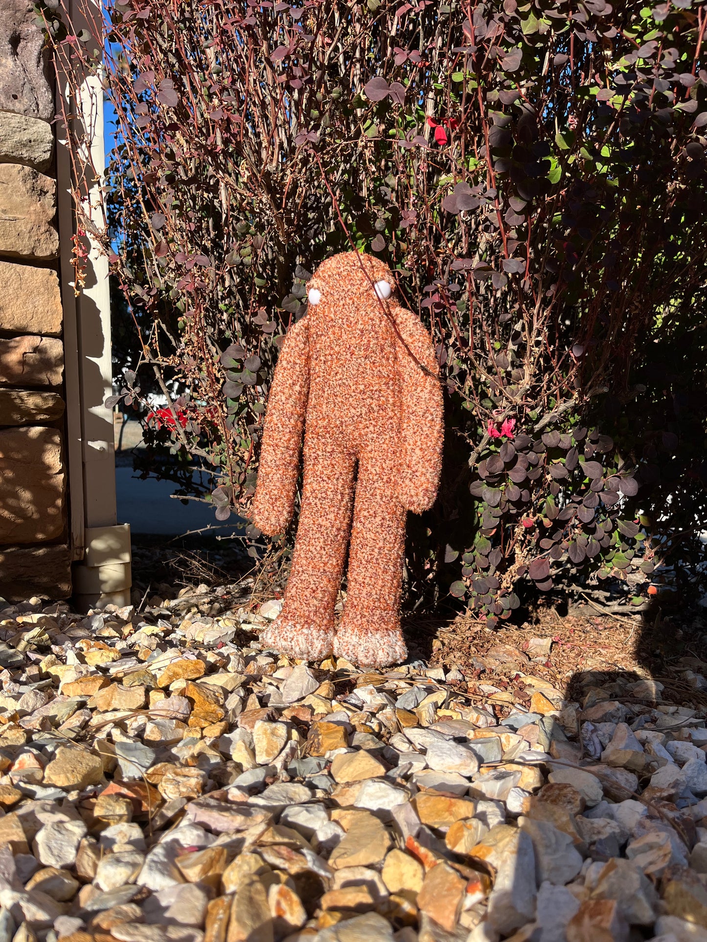 Sock Monkey Cryptids