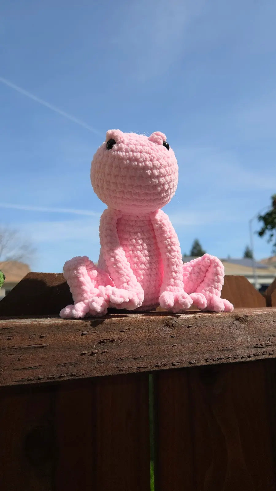 Frogrick the Grumpy Frog Plushie